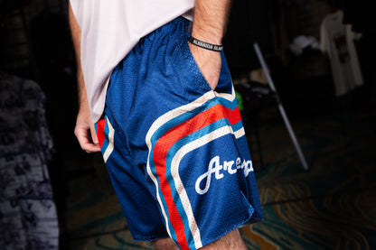 ArenaWear Retro Mesh Shorts