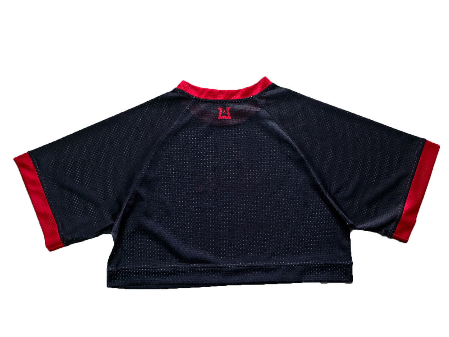 Ladies Rodeo Royale Oversize Crop Jersey Tee